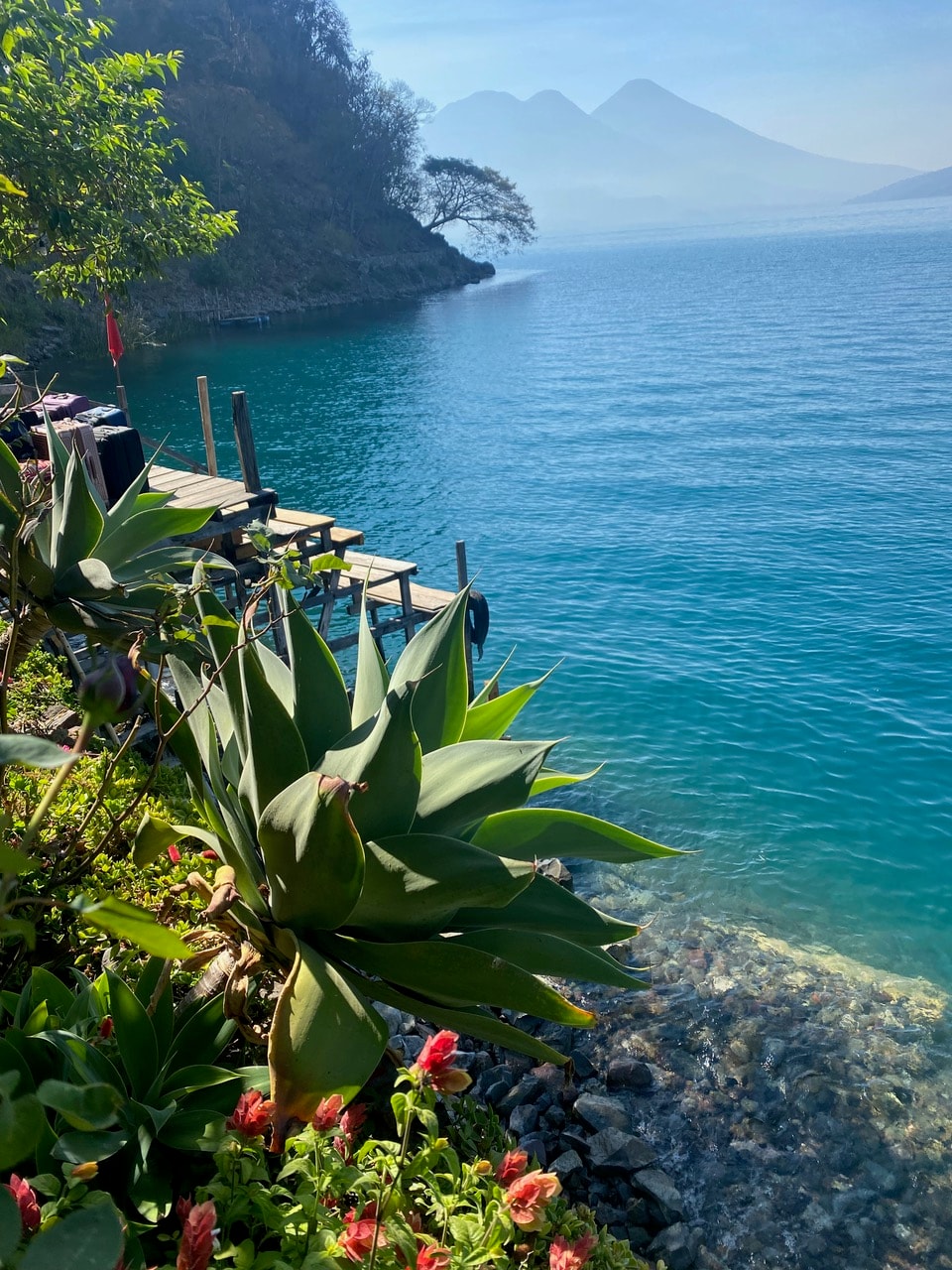 Turquoise lake water, agave plants, and mountains in the distance